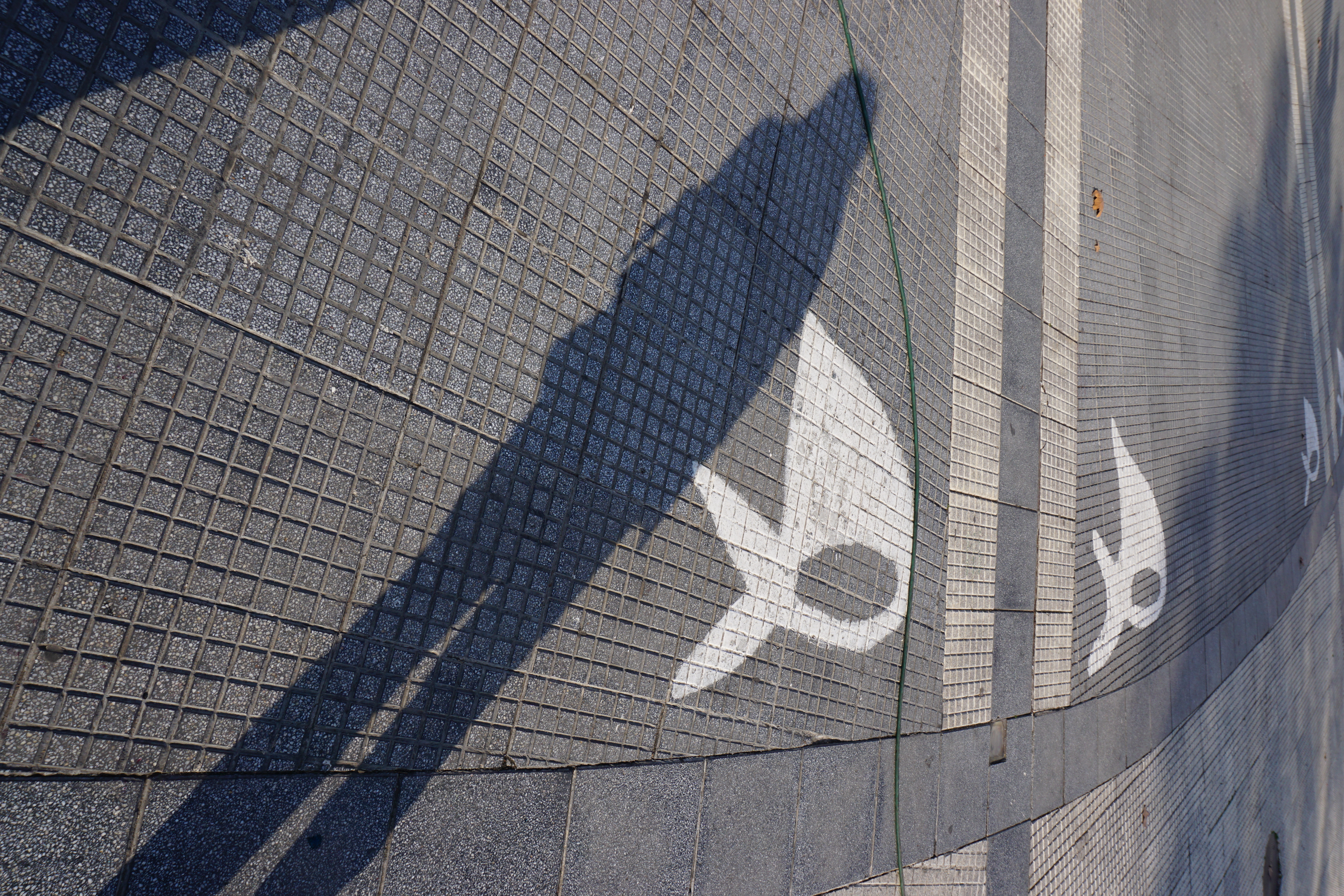photo of Madres de la Plaza de Mayo symbol